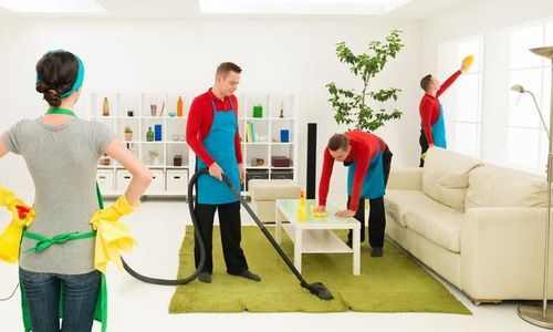 domestic cleaning